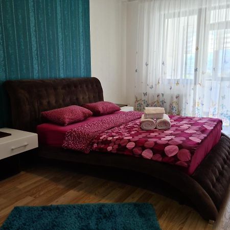 براشوف Premium Apartment Isaran المظهر الخارجي الصورة